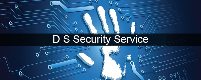 D S Security Service 